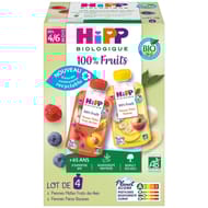 Hipp gourdes 100% fruits 2 variétés 4/6 mois lot de 4