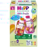 Hipp gourdes 100% fruits 2 variétés 6 mois lot de 4