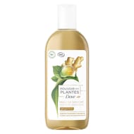 Dove huile de douche pouvoir des plantes gingembre 250ml