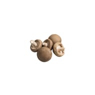 CHAMPIGNON BLOND VRAC