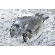 DORADE ROYALE colis de 3 kg