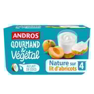 Andros gourmand et végétal au lait de coco nature abricot 4x100g