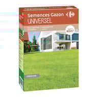 Carrefour gazon universel 1kg