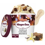 Haagen-Dazs mini pot vanille caramel brownie 78g