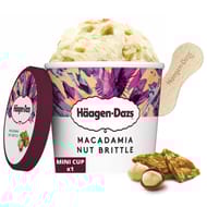 Haagen-Dazs mini pot macadamia nut brittle 81g