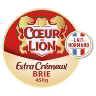 Coeur de Lion le bon brie familial 450g