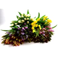 Bouquet de 20 tulipes