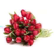 Bouquet de 20 tulipes rouges