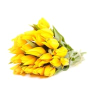 Bouquet de 20 tulipes jaunes