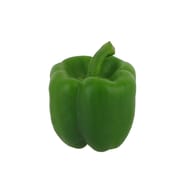Poivron vert bio vrac