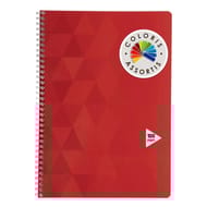 Carrefour cahier 21x29.7 cm 100 pages grands carreaux couverture vernie