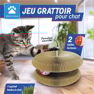 Jeu grattoir chat