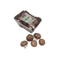 Champignons bruns Bio
