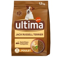 Ultima jack russel 1.5kg