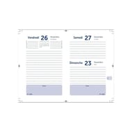 Universal agenda journalier minions