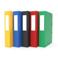 Carrefour boîte carte 24x32 dos 25 mm 425 grammes coloris assortis