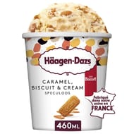 Haagen dazs caramel biscuit and cream speculoos 460ml 400g