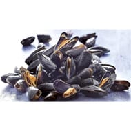 Moules de bouchot fqc
