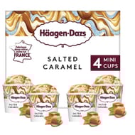 Haagen dazs 4 mini pots salted caramel 380ml 324g