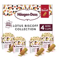 Haagen-Dazs speculoos caramel biscuit & cream 4x95ml 324g