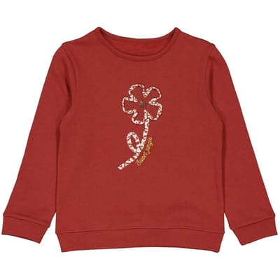 Sweat shirt fille TERRE 12 ANS