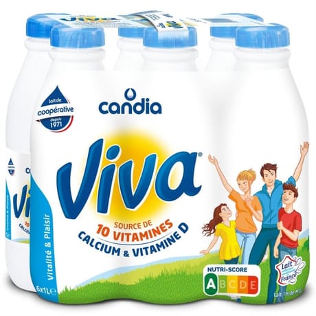 Viva lait vitaminé à 1.2%mg bouteille 6x1l