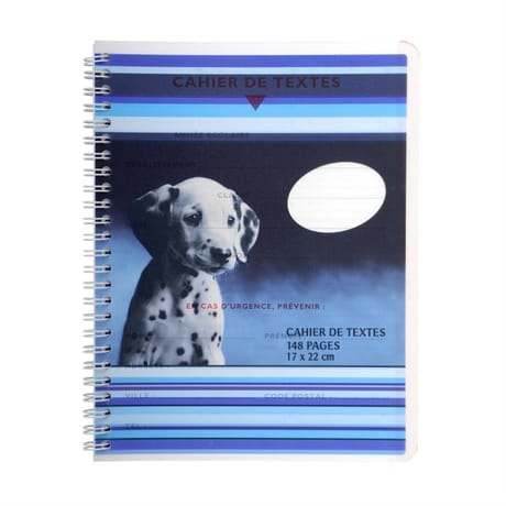 Cora cahier textes reliure à spirale  17 x 22 cm 148 pages seyes grands carreaux