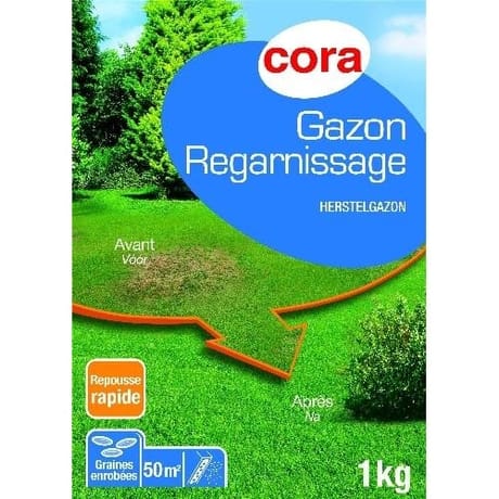 Cora gazon regarnissage 1kg