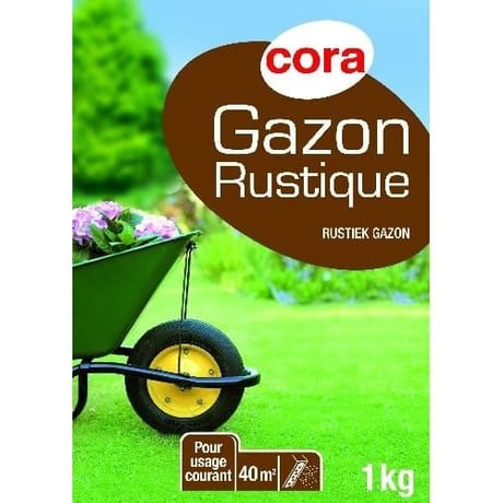 Cora gazon rustique 1kg