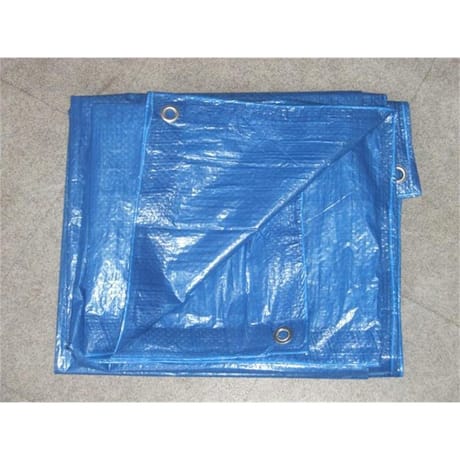 Bâche de protection 2x3m 1g