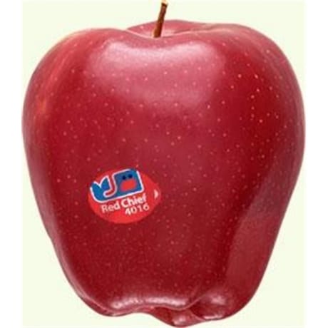Pomme Red Chief