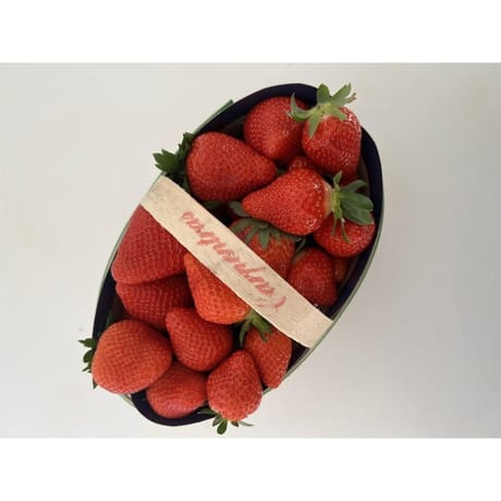 Fraise panier 1kg Carpentras