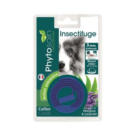 Riga collier insectifuge chien