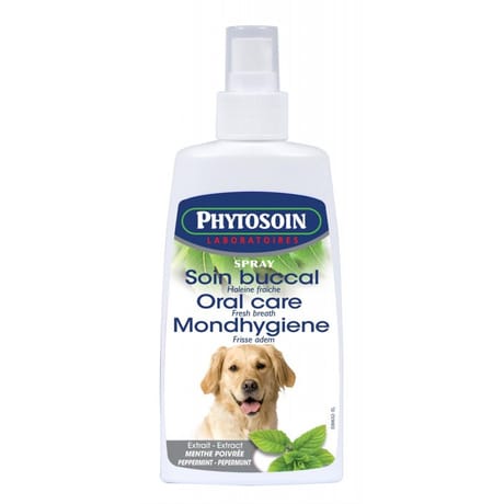 Phytosoins - Spray buccal chien 125 ml