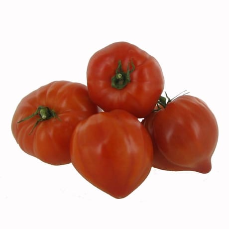 Tomate type coeur de boeuf