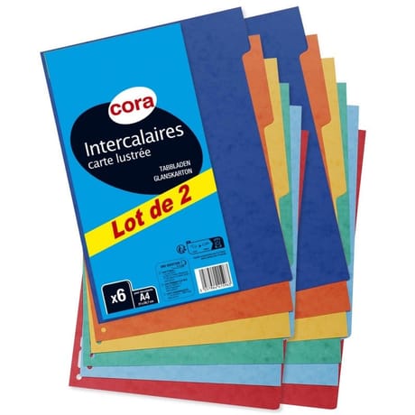 Cora lot de 2x6 intercalaires 210x297 carte lustrée vive