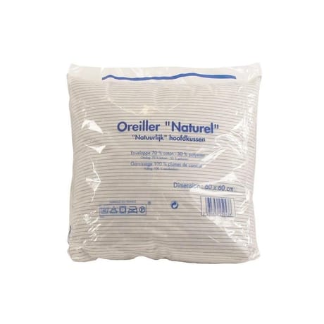 Oreiller 60x60  "plumes"