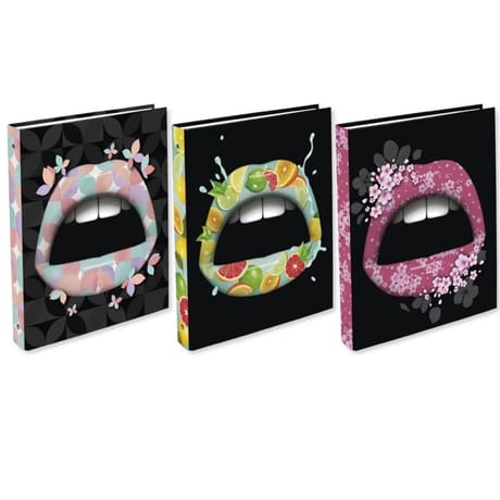 Lips classeur d40 4 anneaux