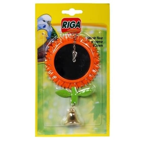 Riga - Miroir fleur