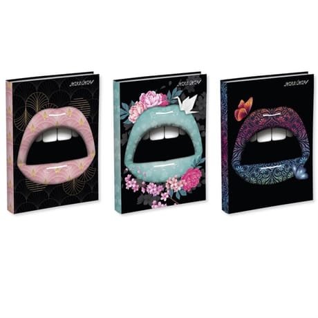 Lips agenda scolaire 120x170 1j/p 320 pages lips