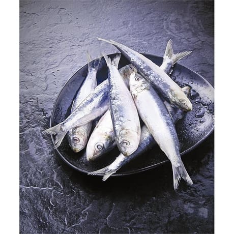 Sardines