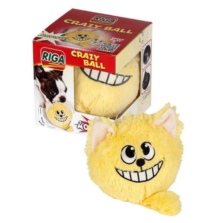 Riga crazy ball pour chien