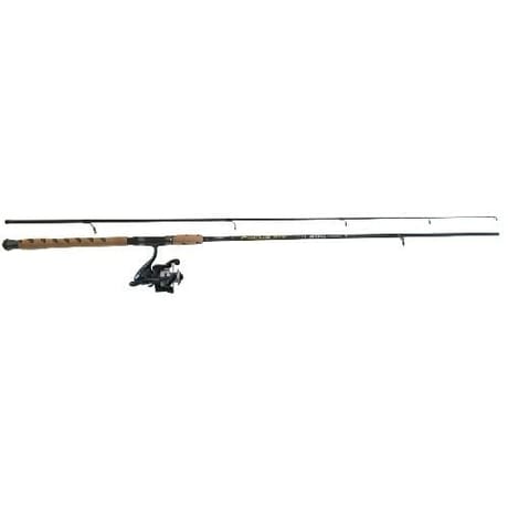 Ensemble manier focus avec moulinet premium T40