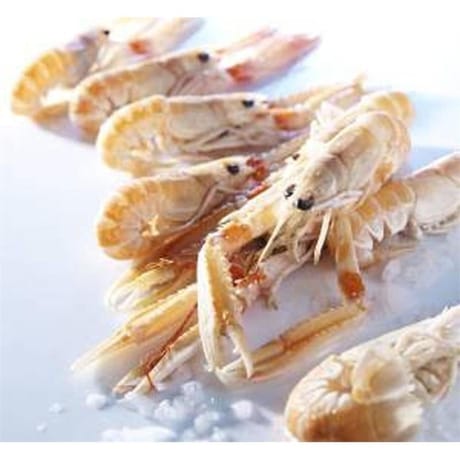 Langoustine crue