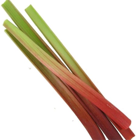 Rhubarbe