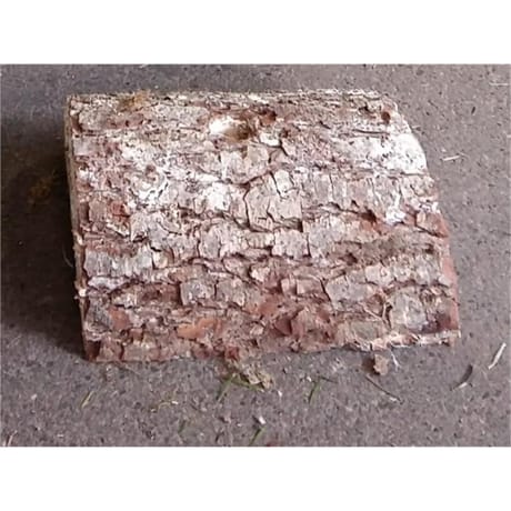 Buche diam 50mm