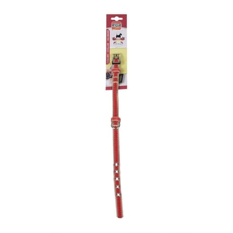 Riga - Collier sangle 15 fantaisie  petit chien 22 à 30 cm tour de cou