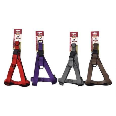 Riga - Harnais sangle doublée 25 grand chien