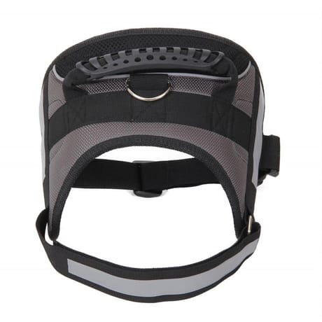 Riga harnais olex taille L pour chien