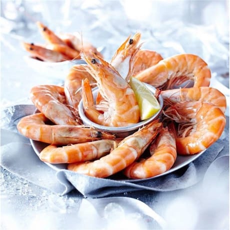 Crevettes roses cuites de calibre 30 à 50 pièces au kg
